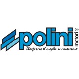 Polini