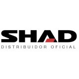 Shad