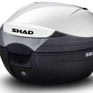 BAGUL SHAD SH33
