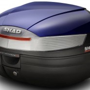 BAGUL SHAD SH37