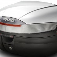 BAGUL SHAD SH37