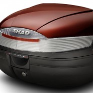 BAGUL SHAD SH37