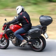 CJT.BAUL SHAD LATERALES SH23